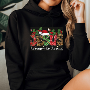 JESUS is the reason  (Hoodie)